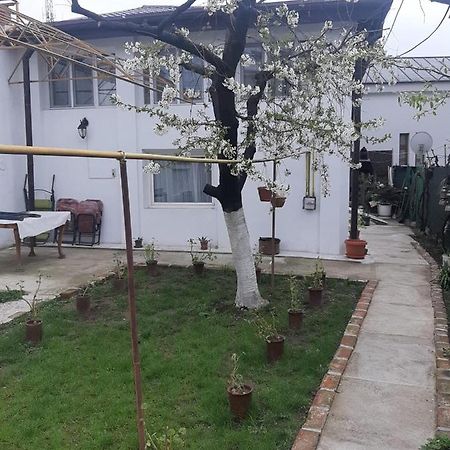 House Ξενοδοχείο Κραϊόβα Εξωτερικό φωτογραφία