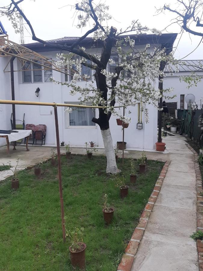 House Ξενοδοχείο Κραϊόβα Εξωτερικό φωτογραφία